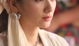 娱乐圈极品前任爆料小说